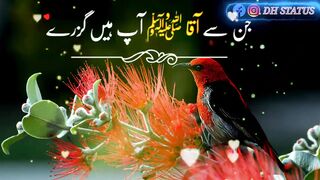 islamicstatus #whatsappstatus #video #dhstatus #lovestatus #2023status.