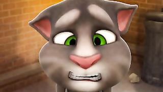 Qui a tapé mon chat