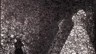Chiharu Shiota