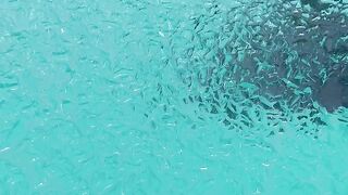 Ice Blue