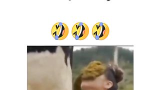 Best funny videos 5