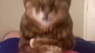 Funny Video 107