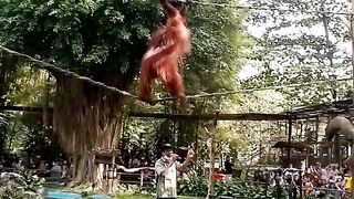 Woooow