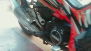 Burung 4