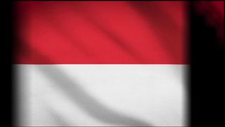 Indonesian Flag
