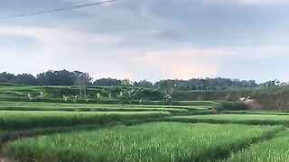 best view 4