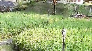 river view in malang