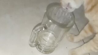 The behavior of the orange drink in a glass