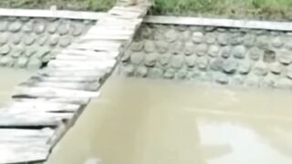 Video Lucu #1