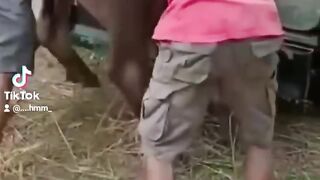 Video Lucu #2