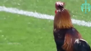 Funny Football Vines 2023 • Fails | Skills | Goals Live