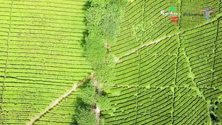 Beauty Of South Sumatera (Pagar Alam)