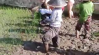 Edukasi bertanam