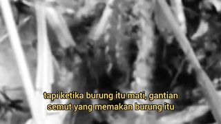 youth mindset