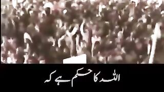 imran khan is the best