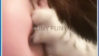 Funny Cats Reacting to Random Objects