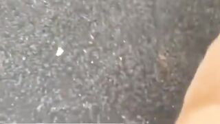 others dog vs my dog