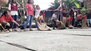 Balap Karung