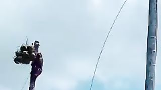 Monkey12