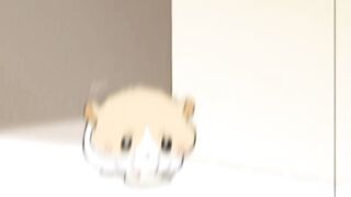 Manhua Hamster cute #febspot