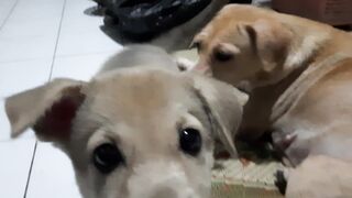 Mom and her son