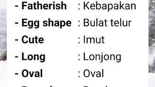 Macam Macam bentuk wajah
