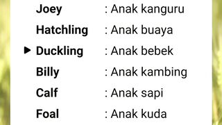 Nama Nama Anak Binatang