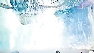 giant dragon