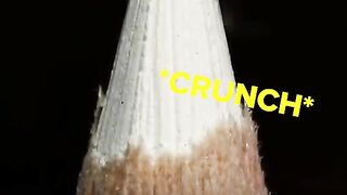 satisfying object zoom