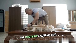 Oh no! Snowe is dead!  When your beloved dog suddenly dies