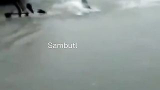 kompilasi video lucu part 4