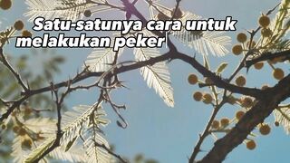 Cintai pekerjaanmu saat ini