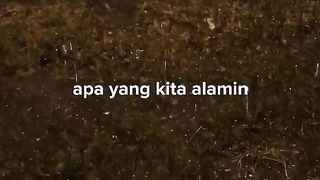 kata-kata bijak untuk stori wa