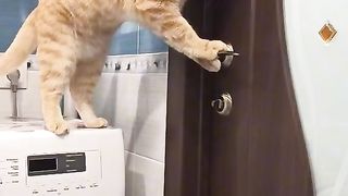 Приколи 200