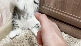 Приколи 203