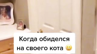 Приколи 204