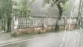 Rain in afternoon