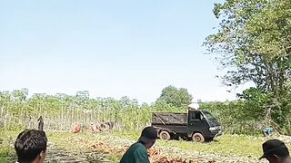 #petani