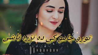 Pashto song 6