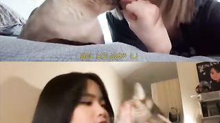 Cute cat 34