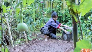 The purpose of cotton