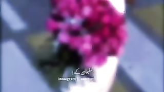 Hindi song 11