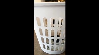 ???? Funniest Cats and Dogs Videos ???????? || ???????? Hilarious Animal Compilation №66