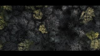 Drone 5