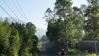 trip while on vacation through the plantation