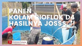 FISH TANK ,TILAPIA, CATFISH, SHRIMP AND UDANG