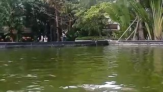 kolam nila di taman mall