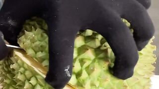 LE FRUIT DURI NOIR LE PLUS CHER