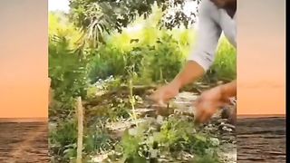 Salah Sasaran ????????