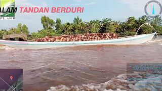 Petani Sawit